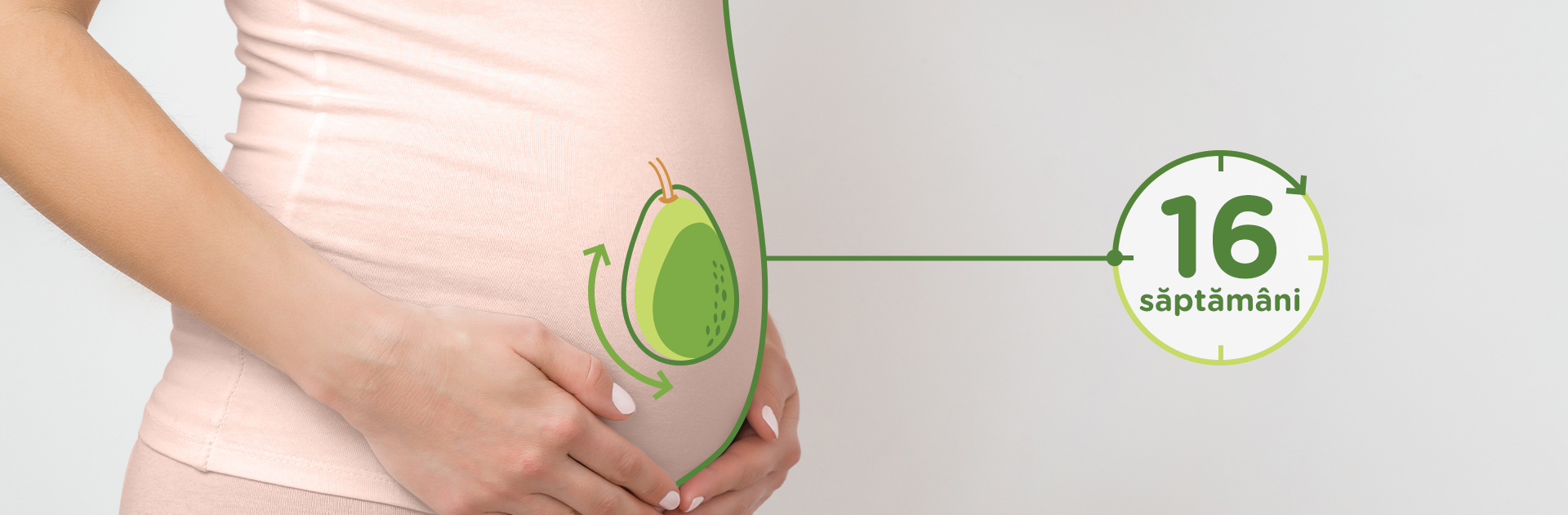 Bebelusul in Saptamana 16 de sarcina fruct: avocado