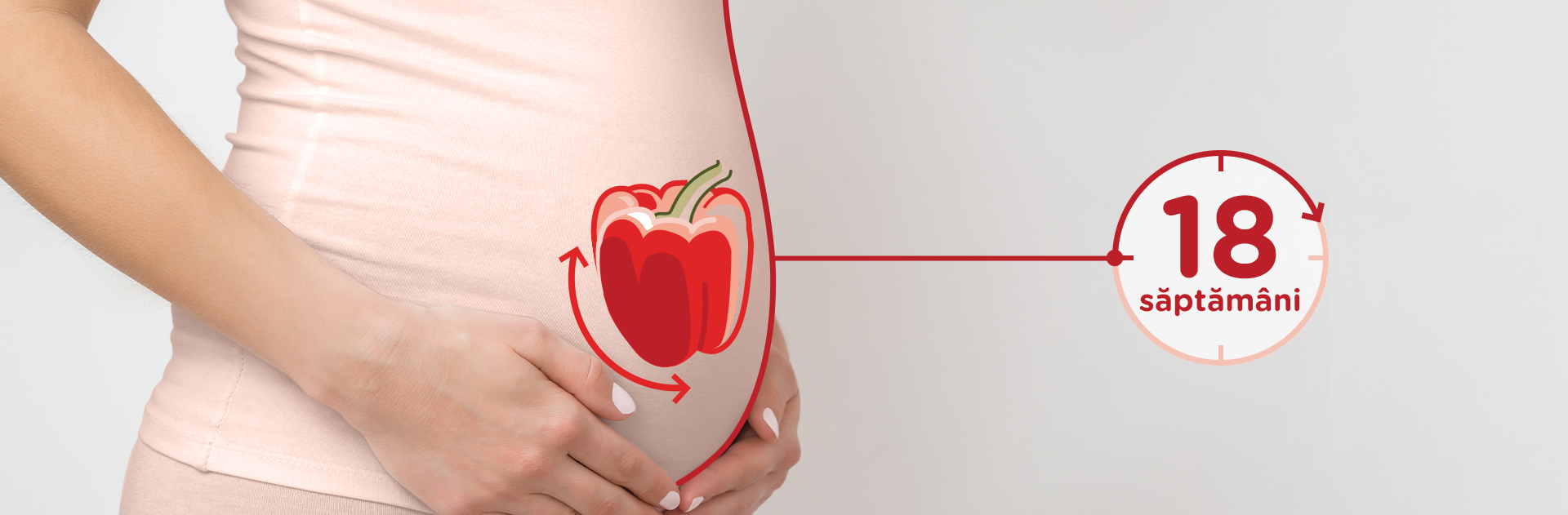 Bebelusul in Saptamana 18 de sarcina fruct: ardei gras