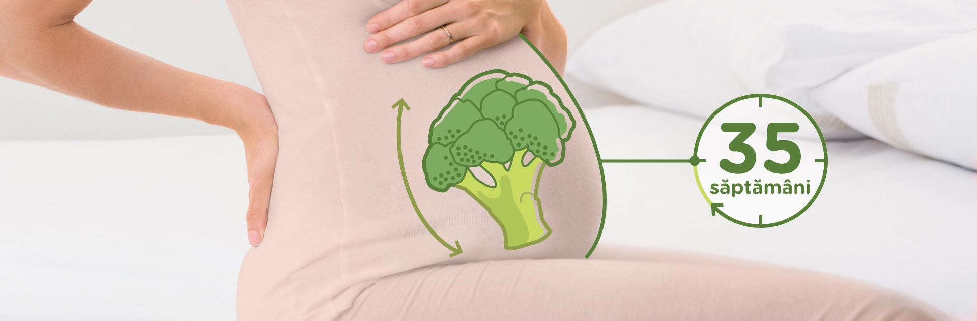 Bebelusul in Saptamana 35 de sarcina fruct: manunchi de broccoli